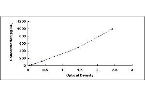 FGF7 ELISA Kit