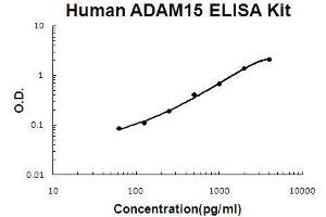 ADAM15 ELISA Kit