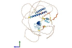 AlphaFold protein structure predicition of Human Recombinant PHF21A Protein, UniprotID Q96BD5 (PHF21A Protein (AA 1-680) (His tag))
