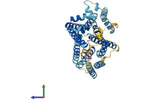 AlphaFold protein structure predicition of Mouse Recombinant Slc35b2 Protein, UniprotID Q91ZN5 (SLC35B2 Protein (AA 1-431) (His tag))