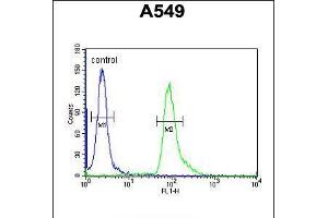 Flow cytometric analysis of A549 cells (right histogram) compared to a negative control cell (left histogram). (ABHD12 antibody  (N-Term))