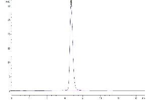 The purity of Human Her2 is greater than 95 % as determined by SEC-HPLC. (ErbB2/Her2 Protein (AA 23-652) (Fc Tag))