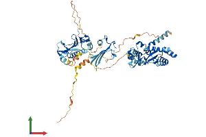 AlphaFold protein structure predicition of Human Recombinant HSP90AB3P Protein, UniprotID Q58FF7 (HSP90AB3P Protein (AA 1-597) (His tag))