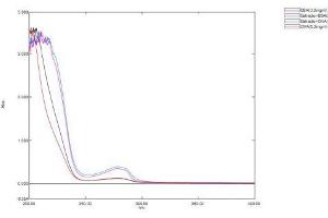 Image no. 1 for E2 Estradiol protein (BSA) (ABIN1880183) (E2 Estradiol Protein (BSA))