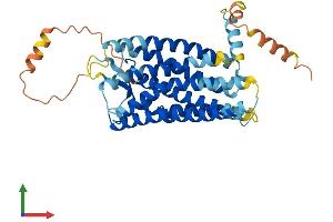 AlphaFold protein structure predicition of Mouse Recombinant Cxcr5 Protein, UniprotID Q04683 (CXCR5 Protein (AA 1-374) (His tag))