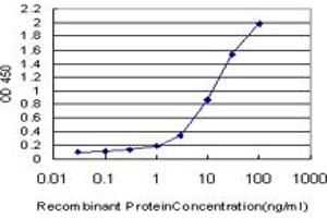 Detection limit for recombinant GST tagged PCDHGA2 is approximately 0. (PCDHGA2 antibody  (AA 223-331))