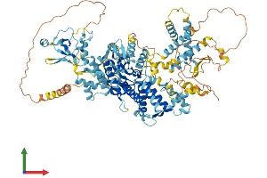 AlphaFold protein structure predicition of Human Recombinant THAP9 Protein, UniprotID Q9H5L6 (THAP9 Protein (AA 1-903) (His tag))