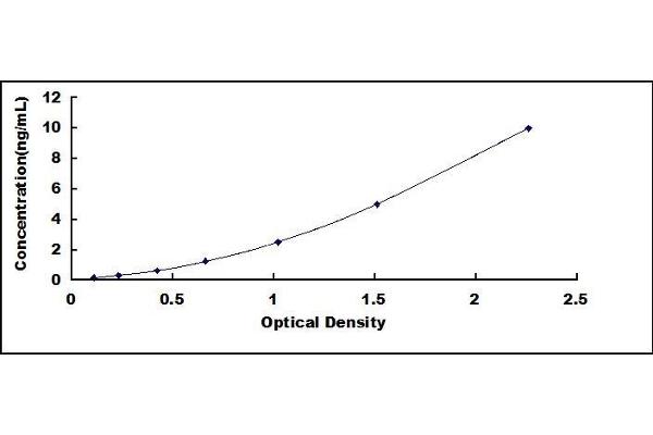 RGS7 ELISA Kit