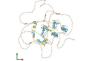 Protein Structure (PS) image for Zinc Finger Protein, X-Linked (ZFX) (AA 1-805) protein (His tag) (ABIN7545256)