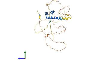 AlphaFold protein structure predicition of Mouse Recombinant Nanog Protein, UniprotID Q80Z64 (Nanog Protein (AA 1-305) (His tag))