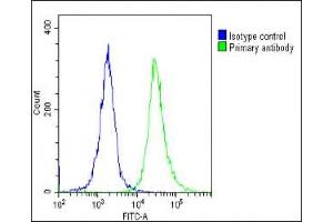 Overlay histogram showing Hela cells stained with (ABIN1536765 and ABIN2849630)(green line). (IFNA1 antibody  (C-Term))