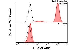 Anti-human HLA-G APC antibody (clone G233) specificity verification by flow cytometry Anti-human HLA-G APC (G233) antibody (concentration in sample 5 μg/mL, red-filled histogram) binds specifically to HLA-G expressed on surface of HLA-G transfected LCL cells (upper panel), but not to surface of K562 cells (lower panel).