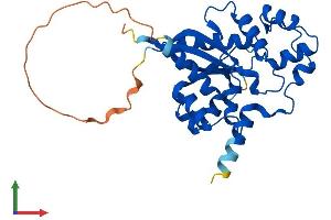 Protein Structure (PS) image for Nicotinamide Nucleotide Adenylyltransferase 1 (NMNAT1) (AA 1-285) protein (His tag) (ABIN7565021)