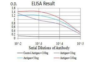 Black line: Control Antigen (100 ng),Purple line: Antigen (10 ng), Blue line: Antigen (50 ng), Red line:Antigen (100 ng) (ADAMTS1 antibody  (AA 858-960))