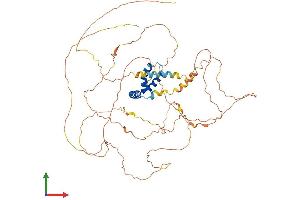 Protein Structure (PS) image for Transcription Factor 7-Like 1 (T-Cell Specific, HMG-Box) (TCF7L1) (AA 1-588) protein (His tag) (ABIN7555740)