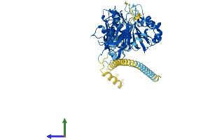 AlphaFold protein structure predicition of Human Recombinant MGAT4A Protein, UniprotID Q9UM21