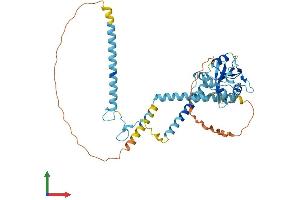 AlphaFold protein structure predicition of Mouse Recombinant Sh2d4a Protein, UniprotID Q9D7V1