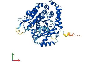 Protein Structure (PS) image for Tubulin, alpha 8 (TUBA8) (AA 1-449) protein (His tag) (ABIN7544265)