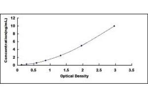 Typical standard curve (CST2 ELISA Kit)