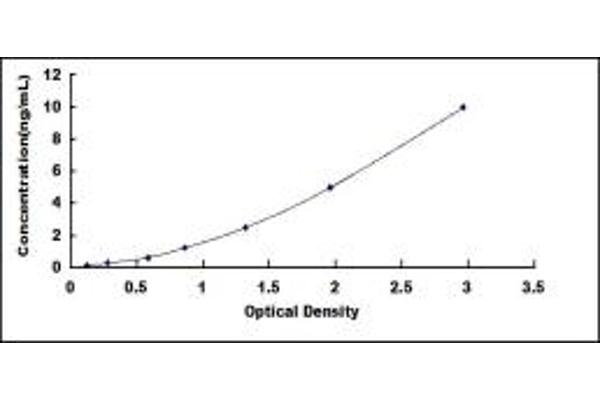CST2 ELISA Kit