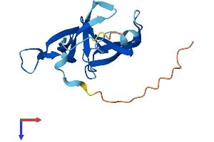 Family with Sequence Similarity 72, Member D (FAM72D) (AA 1-149) protein (His tag)