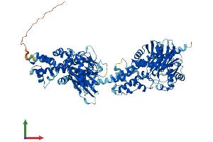 AlphaFold protein structure predicition of Human Recombinant HK3 Protein, UniprotID P52790 (HK3 Protein (AA 1-923) (His tag))