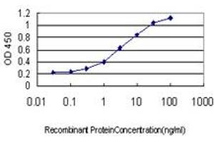 Detection limit for recombinant GST tagged TEK is approximately 0. (TEK antibody  (AA 701-800))