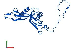 AlphaFold protein structure predicition of Mouse Recombinant Rpl18a Protein, UniprotID P62717 (RPL18A Protein (AA 1-176) (His tag))