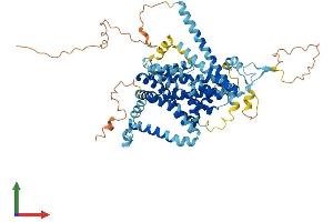 AlphaFold protein structure predicition of Mouse Recombinant Slc34a3 Protein, UniprotID Q80SU6