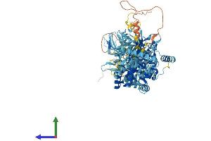 AlphaFold protein structure predicition of Mouse Recombinant Mcm6 Protein, UniprotID P97311 (MCM6 Protein (AA 1-821) (His tag))