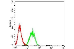 Flow cytometric analysis of K562 cells using BTN1A1 mouse mAb (green) and negative control (red).