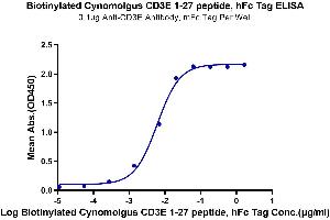 Immobilized Anti-CD3 Antibody, mFc Tag at 1 μg/mL (100 μL/well) on the plate.