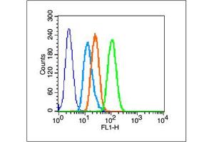 A431 cells probed with HSP27 Polyclonal Antibody, unconjugated  at 1:100 dilution for 30 minutes compared to control cells (blue) and isotype control (orange) (HSP27 antibody  (AA 101-205))