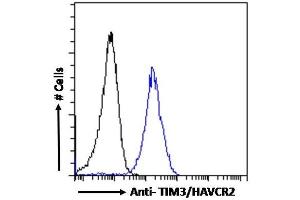 (ABIN185571) Flow cytometric analysis of paraformaldehyde fixed HepG2 cells (blue line), permeabilized with 0. (TIM3 antibody  (Internal Region))