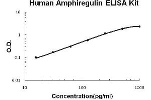 Human Amphiregulin(AR) PicoKine ELISA Kit standard curve (Amphiregulin ELISA Kit)