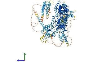 AlphaFold protein structure predicition of Human Recombinant MAP3K15 Protein, UniprotID Q6ZN16 (MAP3K15 Protein (AA 1-1313) (His tag))