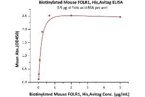 ELISA image for Folate Receptor 1 (Adult) (FOLR1) (AA 25-232) (Active) protein (His tag,AVI tag,Biotin) (ABIN5526655)