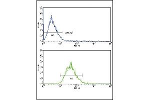 LDLR Antibody (Center) (ABIN652907 and ABIN2842585) FC analysis of MCF-7 cells (bottom histogram) compared to a negative control cell (top histogram).