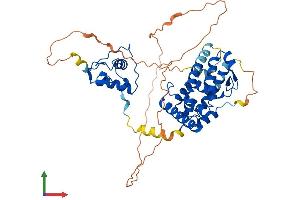 Protein Structure (PS) image for Retinoid X Receptor, gamma (RXRG) (AA 1-463) protein (His tag) (ABIN7551637)