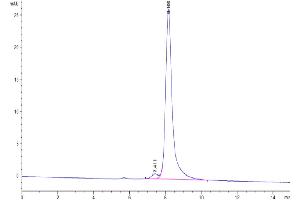 The purity of Mouse APRIL is greater than 95 % as determined by SEC-HPLC. (TNFSF13 Protein (AA 96-241) (Fc Tag))