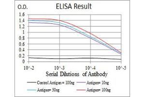 Black line: Control Antigen (100 ng), Purple line: Antigen(10 ng), Blue line: Antigen (50 ng), Red line: Antigen (100 ng), (JAK2 antibody  (AA 745-955))