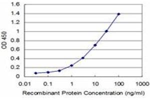 Detection limit for recombinant GST tagged PCNA is approximately 0. (PCNA antibody  (AA 78-177))