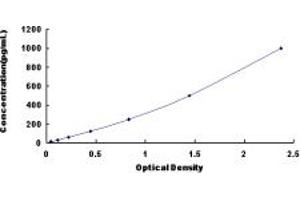 Typical standard curve (FGF12 ELISA Kit)