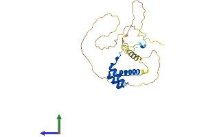 AlphaFold protein structure predicition of Human Recombinant HOXB8 Protein, UniprotID P17481 (HOXB8 Protein (AA 1-243) (His tag))