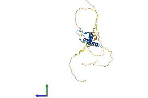 AlphaFold protein structure predicition of Mouse Recombinant Olig3 Protein, UniprotID Q6PFG8 (OLIG3 Protein (AA 1-273) (His tag))