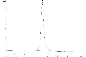 The purity of Mouse CD96 is greater than 95 % as determined by SEC-HPLC. (CD96 Protein (CD96) (AA 22-536) (His tag))