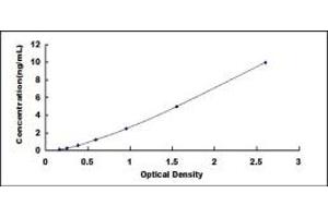 Typical standard curve (RGS1 ELISA Kit)