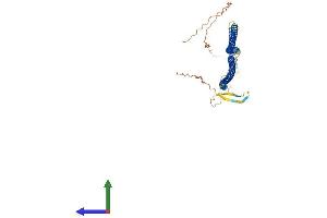 AlphaFold protein structure predicition of Mouse Recombinant Krt28 Protein, UniprotID A6BLY7
