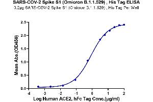 Immobilized Human ACE2, hFc Tag at 2 μg/mL (100 μL/well) on the plate. (SARS-CoV-2 Spike S1 Protein (B.1.1.529 - Omicron) (His tag))