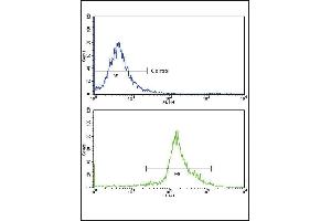 Flow cytometric analysis of widr cells using IA Antibody (N-term)(bottom histogram) compared to a negative control cell (top histogram)FITC-conjugated goat-anti-rabbit secondary antibodies were used for the analysis. (PPIA antibody  (N-Term))